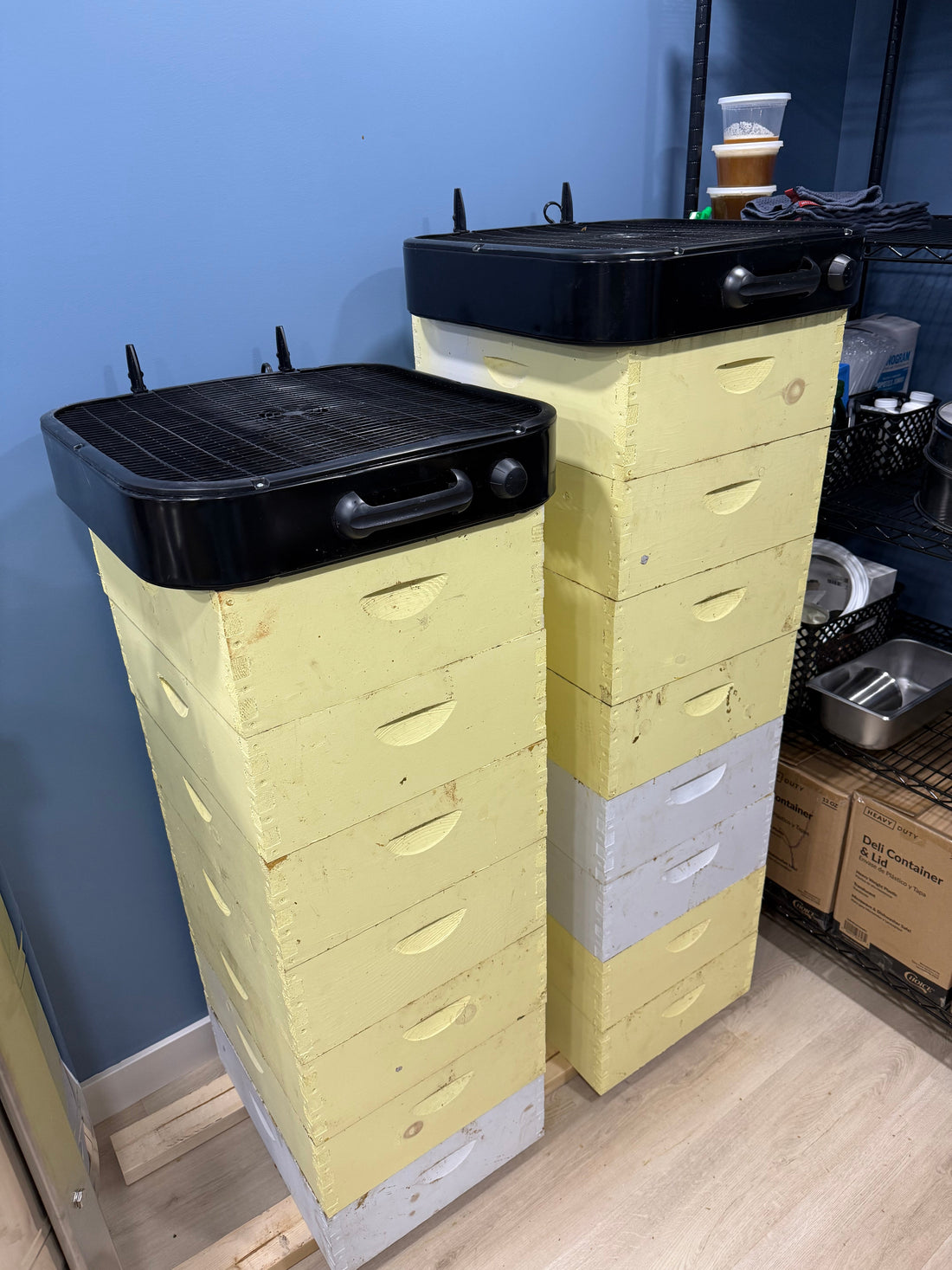 Checking Honey Moisture Content and Drying Honey