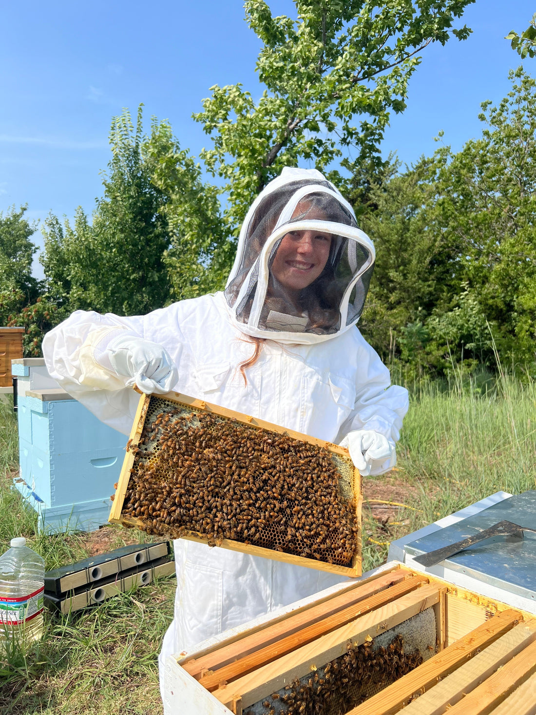 Beekeeper holding frame of bees during hive inspection