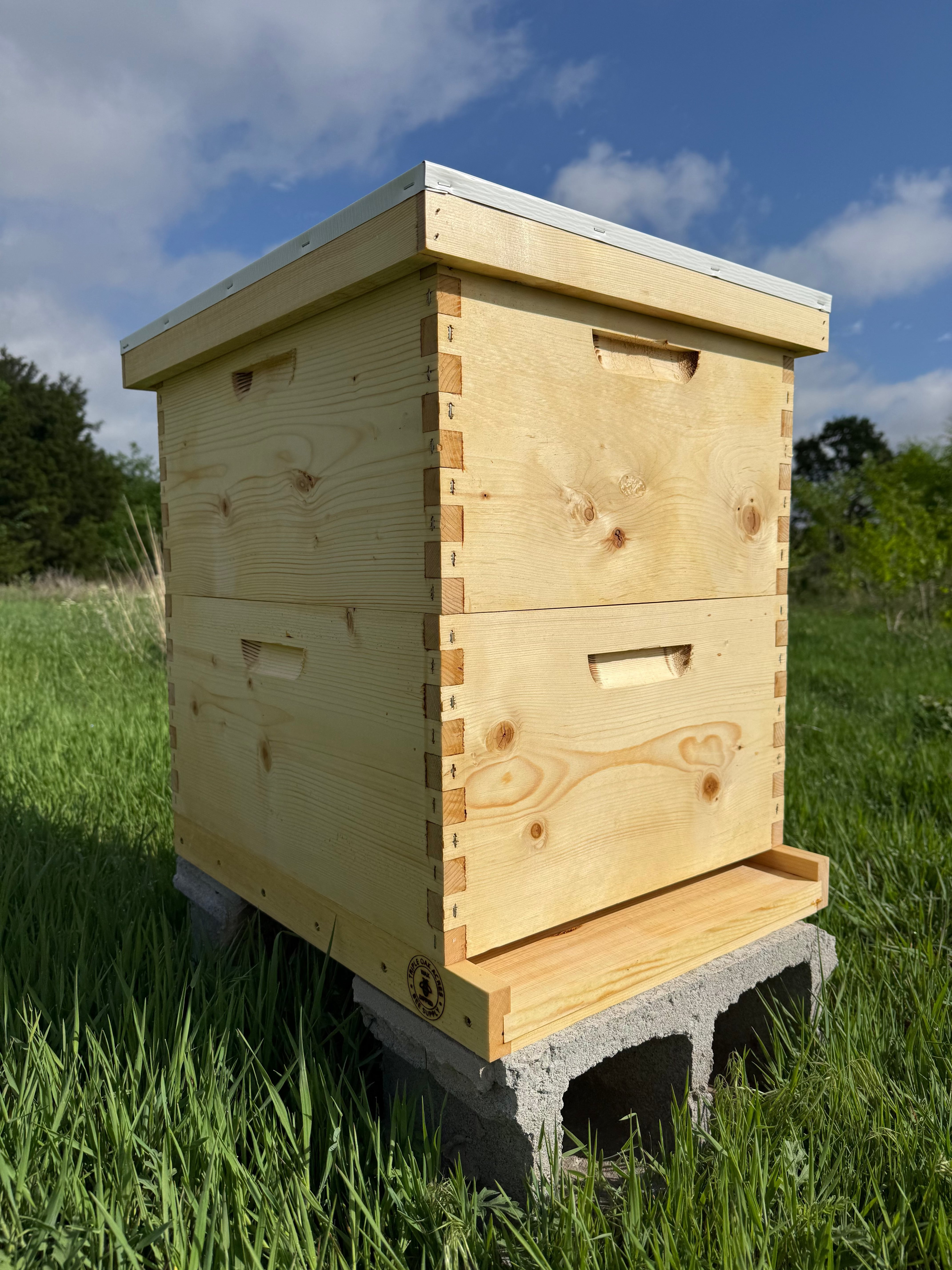 Hive Express Hives