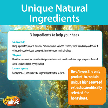 HiveAlive Concentrated Syrup Supplement 500ml