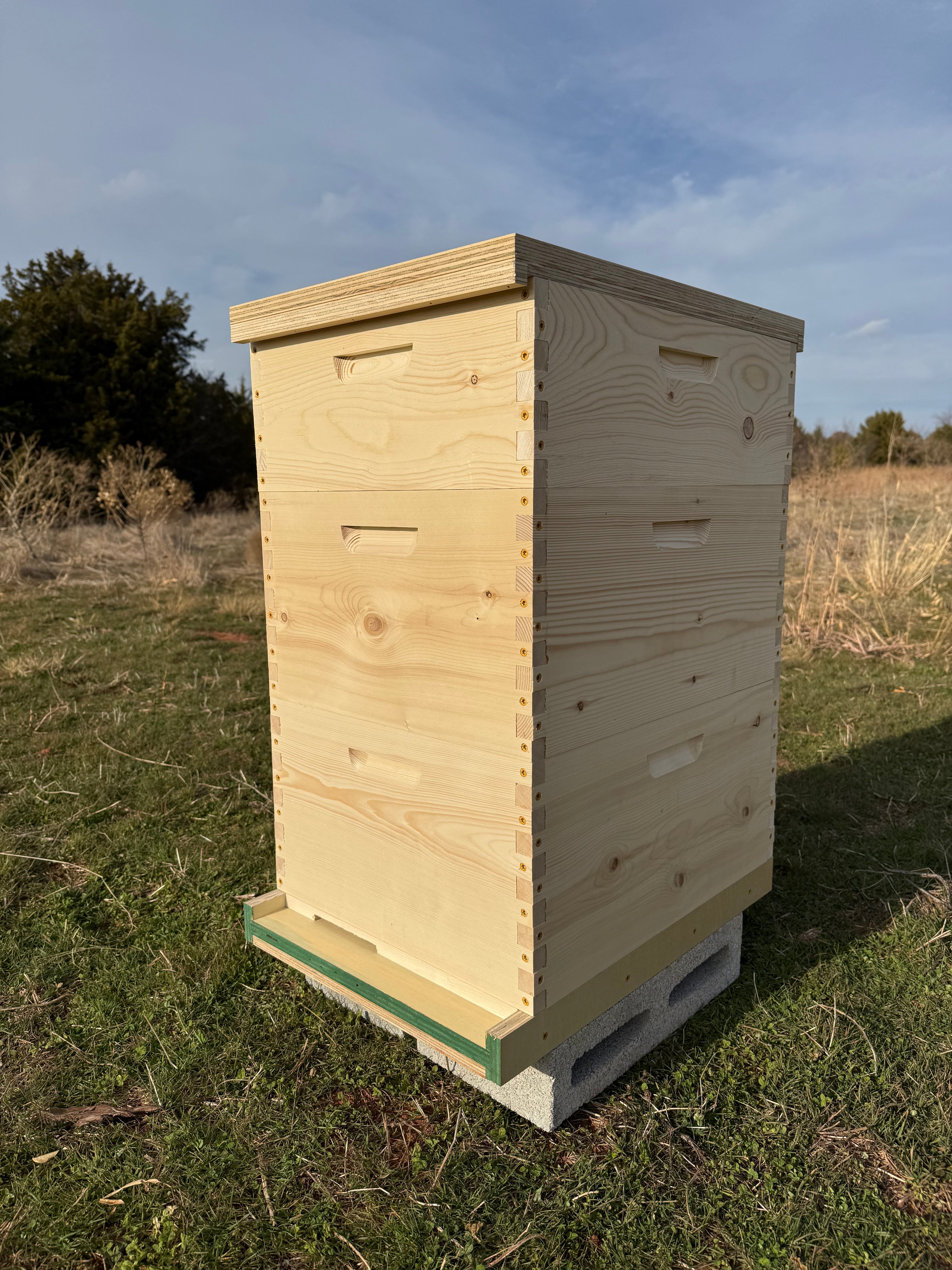 10 frame langstroth hive