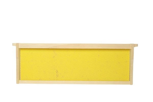 Premier Bee Products assembled medium frame with yellow foundation