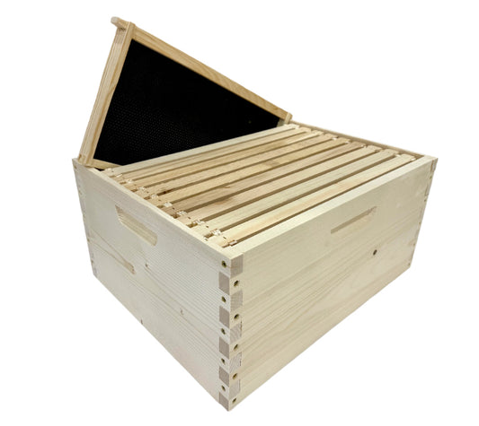 Assembled deep brood box with frames and foundation