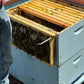 frame inspection holder in use